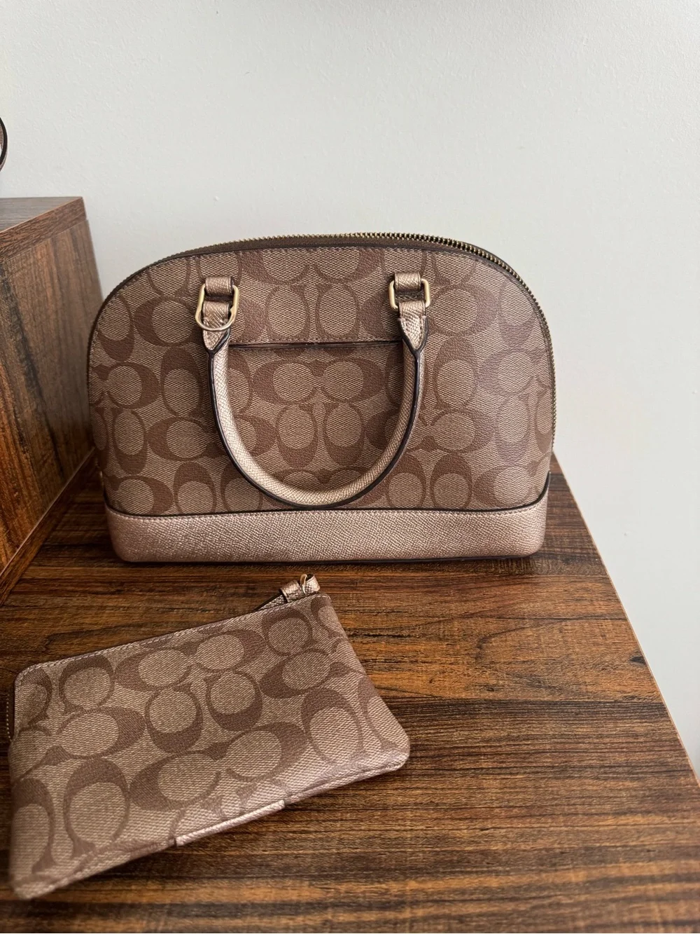 Brown Coach Purse and Wristlet
